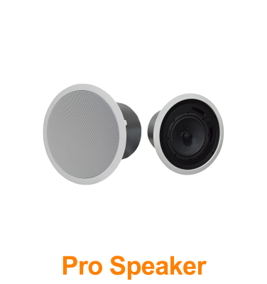 Professional Conference Speaker